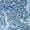 Blue, variant on George Women's Printed Woven Relaxed Short 3"