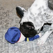 mailman dog toy