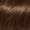 6.0 Châtain clair, variante sur ColorStrong Coloration permanente, système bonding avec AHA à chaque étape offre une couleur multidimensionnelle et renforce la structure interne de vos cheveux Couleur Multidimensionnelle + Bonding AHA + Zéro ammoniaque