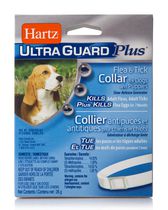 flea medication dogs canada