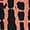 Copper, variant on George Women's Two Piece Notch Collar Shirt Set