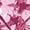 Bourgogne, variante sur Legging capri Lane Bryant Plus pour femmes