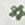 White, variant on Devoted, Ruffle Detail Embroidered Blouse, Sizes XS-XL