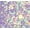 Violet, variante sur Ensemble de lunettes de soleil Justice