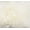 NATURAL, variant on H-Natural 2 Pack 100% New Zealand Sheepskin Pillow 18"X18"