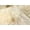 GOLD, variant on NEW ZEALAND SHEEPSKIN SEXTO RUG 5' X 6'