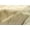 LIGHT BRINDLE, variant on KOBE EXOTIC COWHIDE RUG 5' X 7'