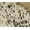 NATURAL & GOLD, variant on TORINO SCOTLAND COWHIDE PILLOW 12"X20" 2-PACK