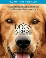 a s purpose dvd buy tv shows books new releases walmart canada a s purpose dvd buy tv shows books new releases walmart canada