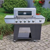 Cuisinart 3-in-1 Stainless Five Burner Gas Grill | Walmart Canada