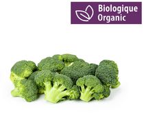 Broccoli, Stalks Organic