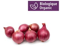 Onion, Organic Red