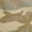 Brown, variant on Wrangler Men's Twill Cargo Short
