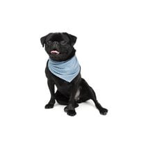 One Paw, Dog Bandana, Soft Fabric, Multiple Colors and Sizes, One Paw, Dog Bandana