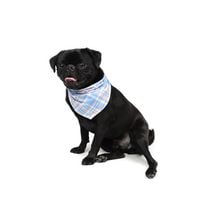 One Paw, Dog Bandana, Soft Fabric, Multiple Colors and Sizes, One Paw, Dog Bandana