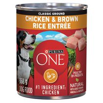 Purina ONE Smartblend Chicken & Brown Rice Entrée, Wet Dog Food 368 g