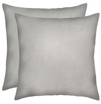 hometrends Velvet Decorative Cushion (Set of 2)