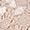 Taupe, variant on George Women's Lace Overlay T-Shirt Bra, Sizes 40-44C, 38-44D, 38-44DD