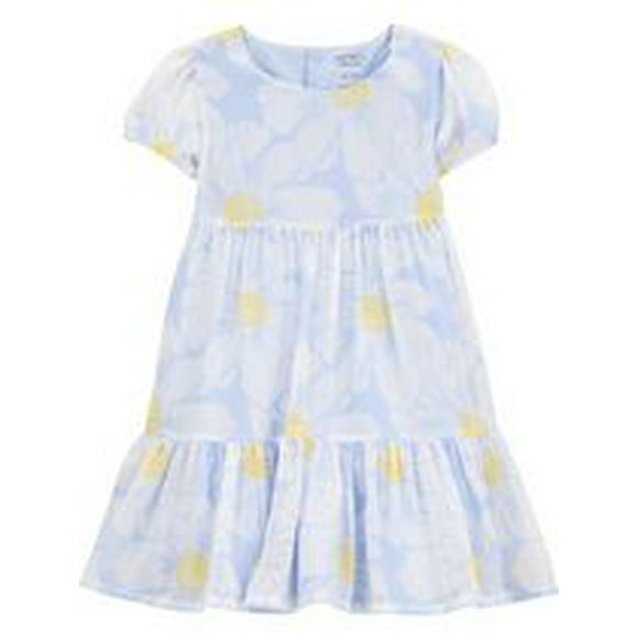Carter's Child of Mine Toddler Girls' Blue Floral Dress, Sizes 2T-5T
