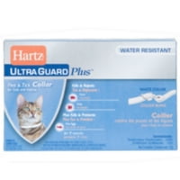 Vetscription Worm Away For Cats Review Vetscription Worm Away For Cats Review